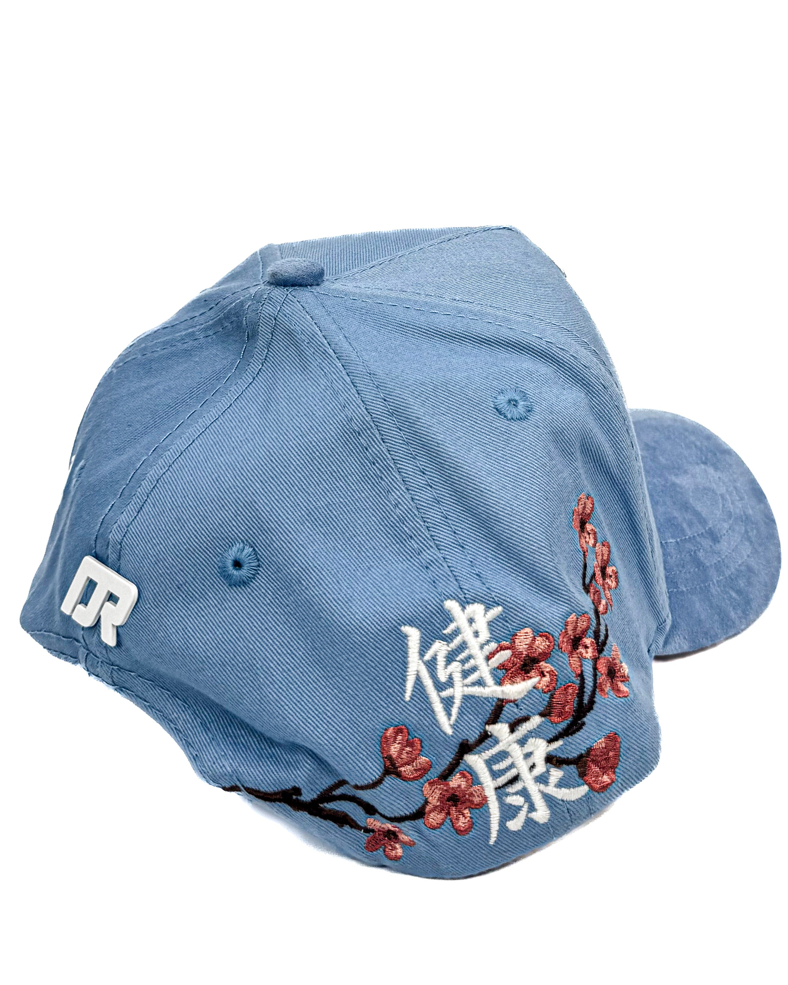 DR - KANJI V2 BLUE
