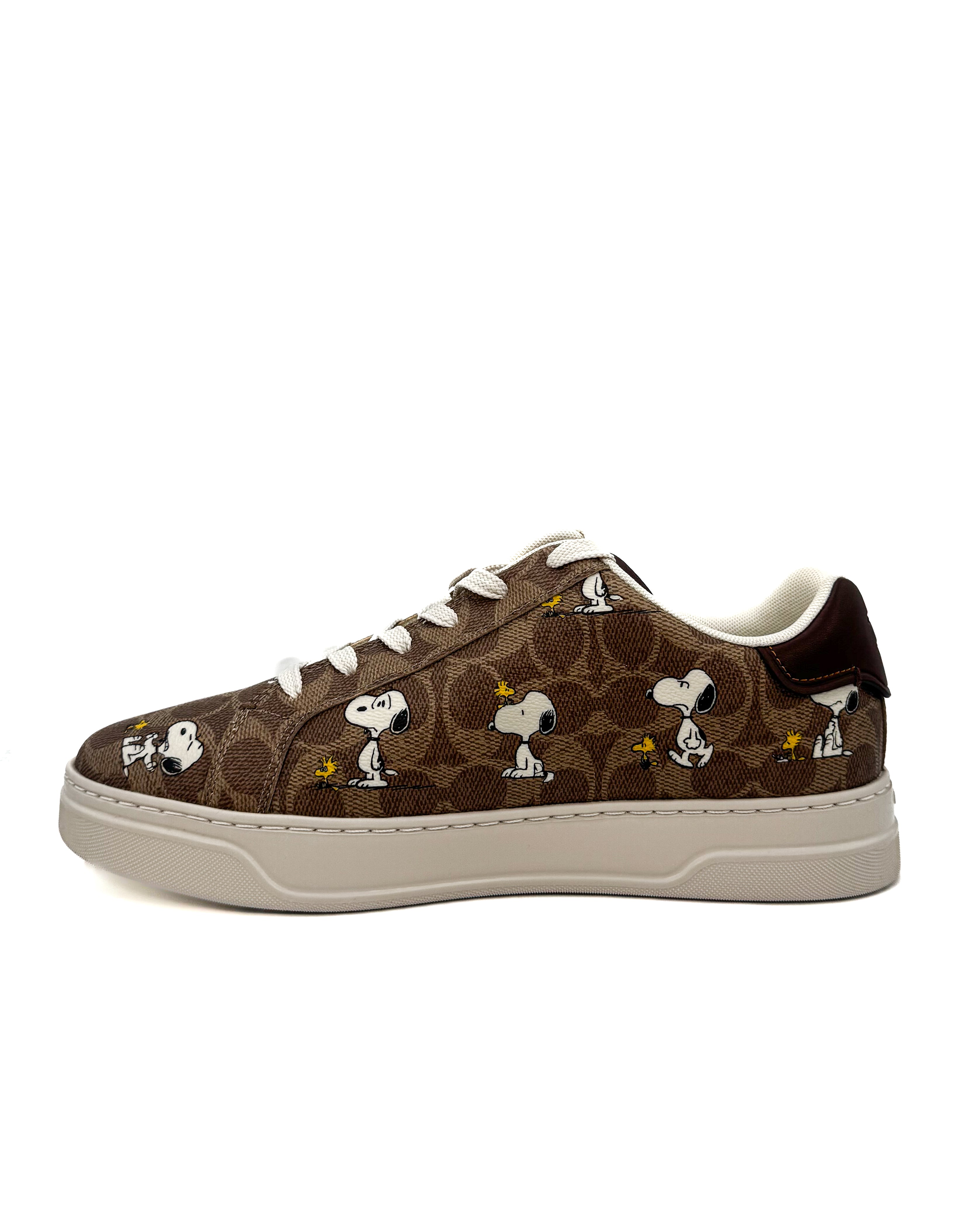 COACH - PEANUTS BROWN